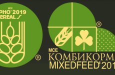 Видео: ФГБУ «ВГНКИ» приняло участие в выставке «MVC: Зерно-Комбикорма-Ветеринария - 2019»
