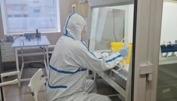 Ученые ФГБУ «ВГНКИ» проверили отечественную вакцину против классической чумы свиней на качество