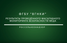 ФГБУ «ВГНКИ» провело масштабный мониторинг безопасности мёда