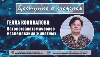 Патологоанатомическое исследование животных: цели и этапы