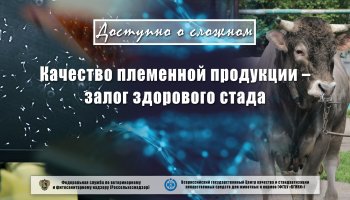 Качество племенной продукции – залог здорового стада