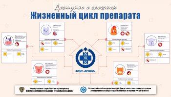 Жизненный цикл лекарственного препарата