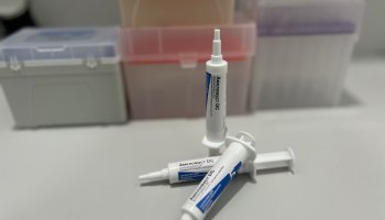 В ФГБУ «ВГНКИ» выявлен некачественный антибиотик против маститов у крупного рогатого скота