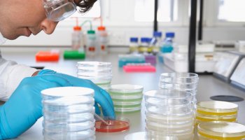 В ФГБУ «ВГНКИ» пройдет обучение по лабораторной диагностике и современным подходам к микробиологическому анализу