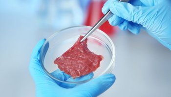  В ФГБУ «ВГНКИ» выявлено недопустимое содержание ветеринарного препарата в образце говядины