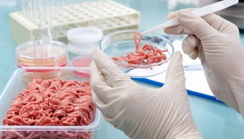 В ФГБУ «ВГНКИ» выявили противопаразитарный препарат в фарше и сардельках   