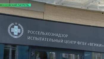 Видео: Специалисты ФГБУ «ВГНКИ» провели исследования мороженого на наличие растительных жиров
