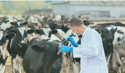 Отдел генодиагностики инфекционных болезней животных