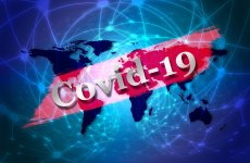 Обновленные рекомендации Всемирной организации по охране здоровья животных (МЭБ) касательно коронавирусной инфекции COVID-19 для владельцев домашних животных