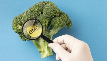 АНОНС: В ФГБУ «ВГНКИ» ПРОЙДЕТ ОБУЧЕНИЕ ПО ОПРЕДЕЛЕНИЮ ГМО В ПРОДУКЦИИ РАСТИТЕЛЬНОГО ПРОИСХОЖДЕНИЯ