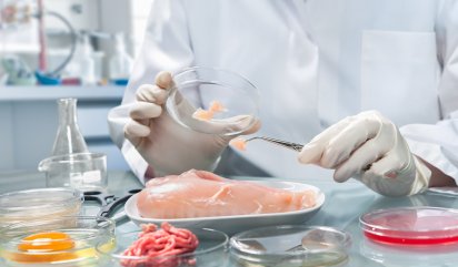 Отдел безопасности пищевой и кормовой продукции