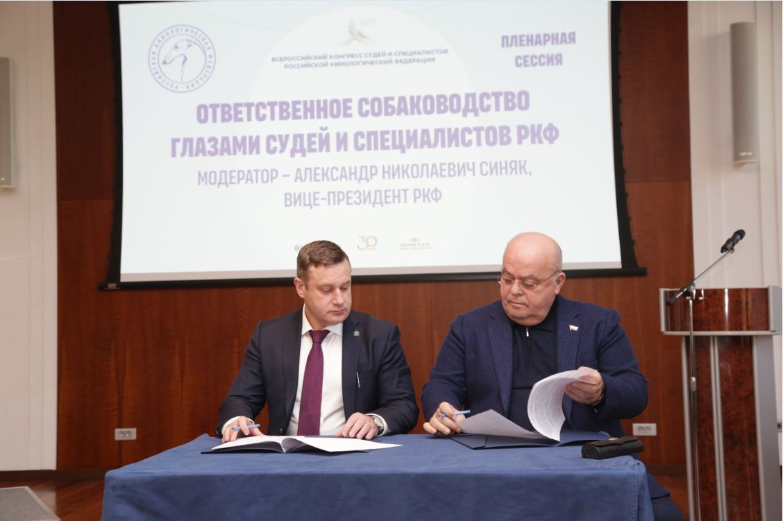 Киш карольевич. Киш карольевич. Киш карольевич. Киш карольевич. Киш карольевич.